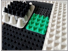 贵阳4公分3公分聚乙烯凸片疏水板 支持一件拿货图1