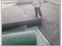 贵阳4公分3公分聚乙烯凸片疏水板 支持一件拿货图4