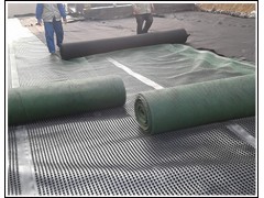 贵阳4公分3公分聚乙烯凸片疏水板 支持一件拿货图5