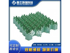 中山市HDPE绿色植草格详细咨询图1
