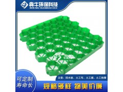 中山市HDPE绿色植草格详细咨询图2