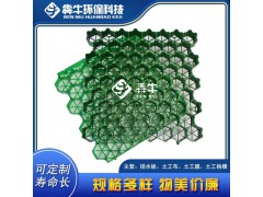 中山市HDPE绿色植草格详细咨询图3