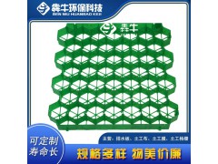 中山市HDPE绿色植草格详细咨询图4