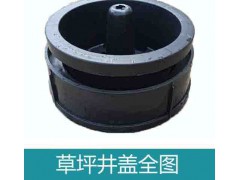 湖北龙康专业生产草坪井盖花盆井盖绿色黑色图1