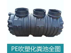 湖北龙康专业生产PE吹塑一体式三格化粪池黑色图1