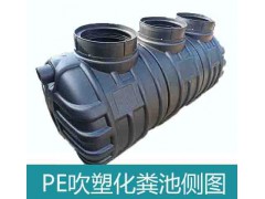 湖北龙康专业生产PE吹塑一体式三格化粪池黑色图2