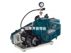 青岛供应爱安达L&W空气充气泵LW 100 EFI潜水救援用图2