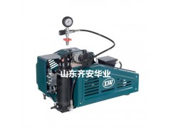 威海潜水救援L&W呼吸器充气泵LW 100图1