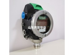 固定式氧气探头MSA氧气探头PrimaX P化工厂用图2