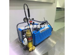 BAUER品牌JUNIOR II-W潜水呼吸器气瓶充气泵图2