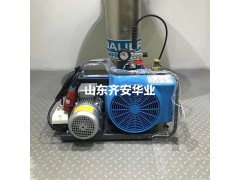 供应BAUER充气泵JUNIOR II配件空气滤芯润滑油图2