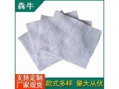 钦州市工地路面养护保湿工程土工布图3