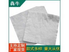 钦州市工地路面养护保湿工程土工布图5