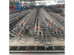 RG桥梁伸缩缝A彦邦GQF-RG型桥梁伸缩缝的性能特点图2