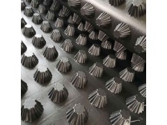 衡阳市园林绿化蓄滤水板图1