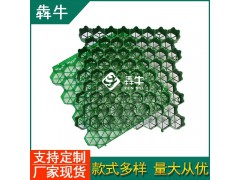 柳州市消防通道塑料植草板图2