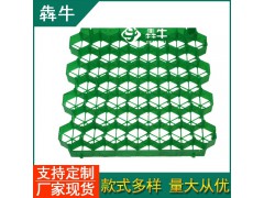 柳州市消防通道塑料植草板图1