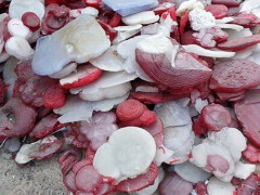 塘厦锡渣锡线锡灰大量收购报价图3